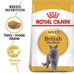 ROYAL CANIN British Shorthair Dry Adult Cat Food - 4kg